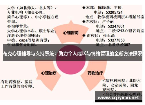 布克心理辅导与支持系统:助力个人成长与情绪管理的全新方法探索 布克心理辅导与支持系统:助力个人成长与情绪管理的全新方法探索