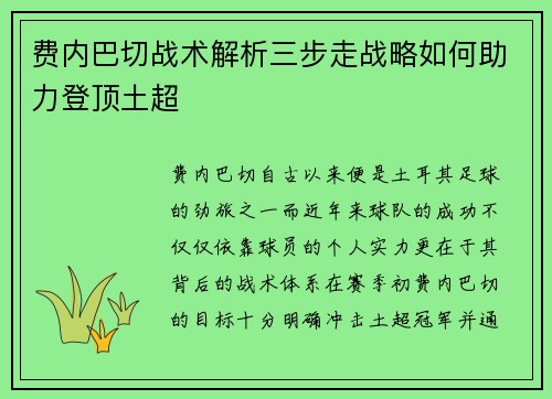 费内巴切战术解析三步走战略如何助力登顶土超 费内巴切战术解析三步走战略如何助力登顶土超